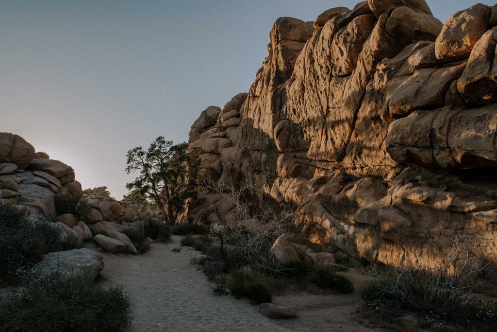 A canyon in Joshua Tree national park